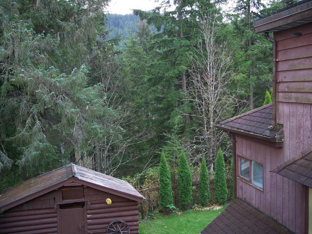 Tall Trees Bed & Breakfast Prince Rupert Quarto foto